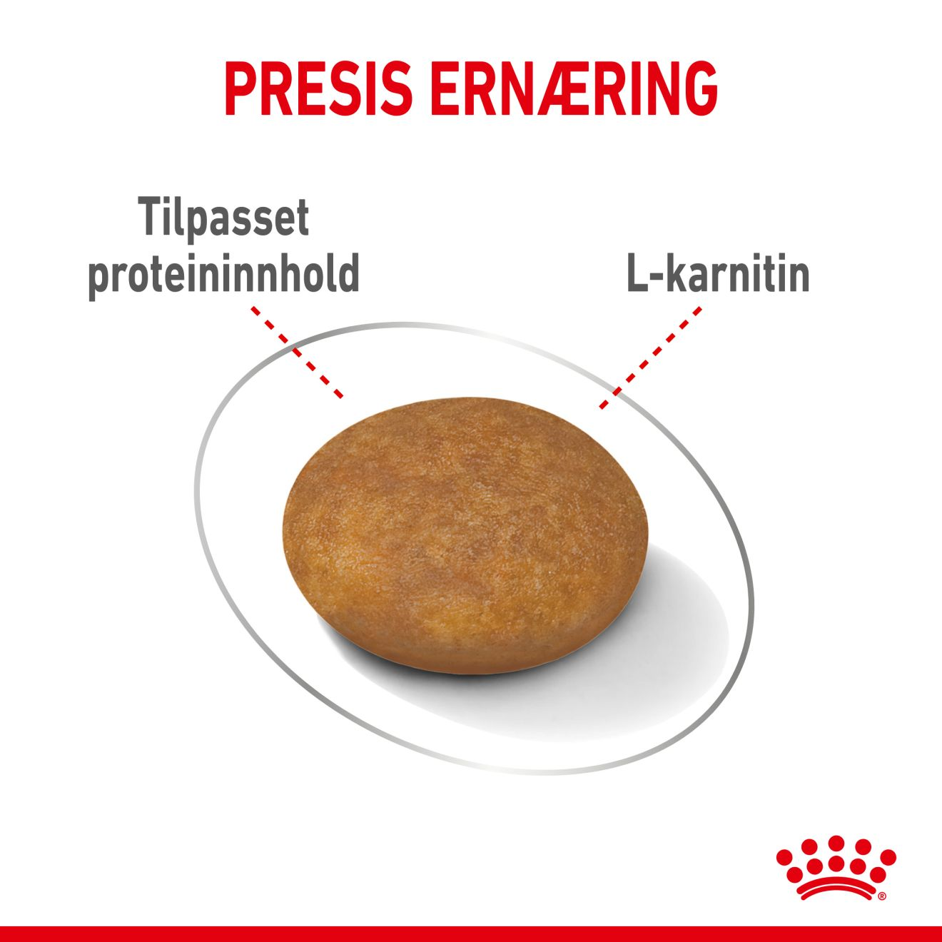 X-Small Light Weight