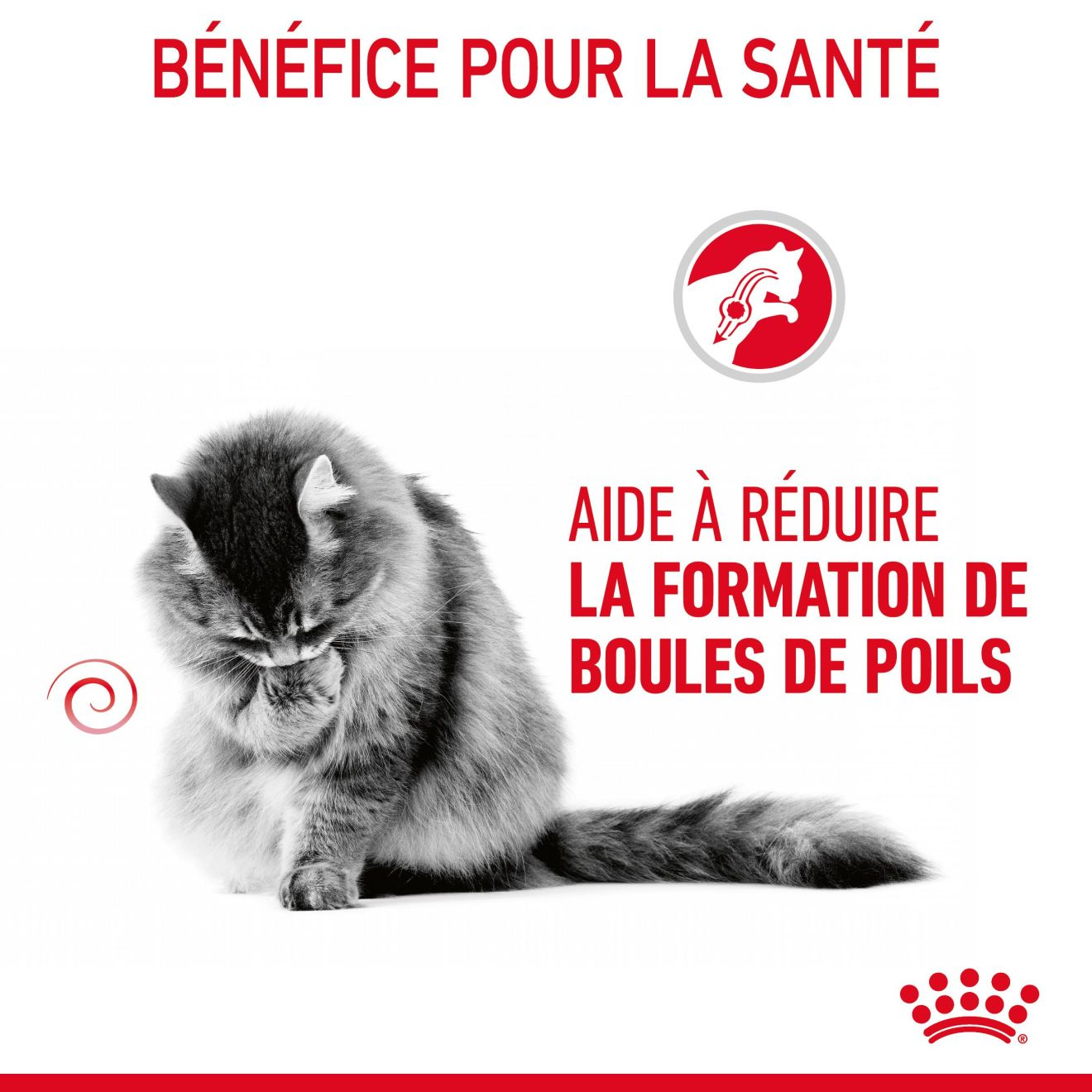 Hairball Care Jelly (émincé en gelée) 