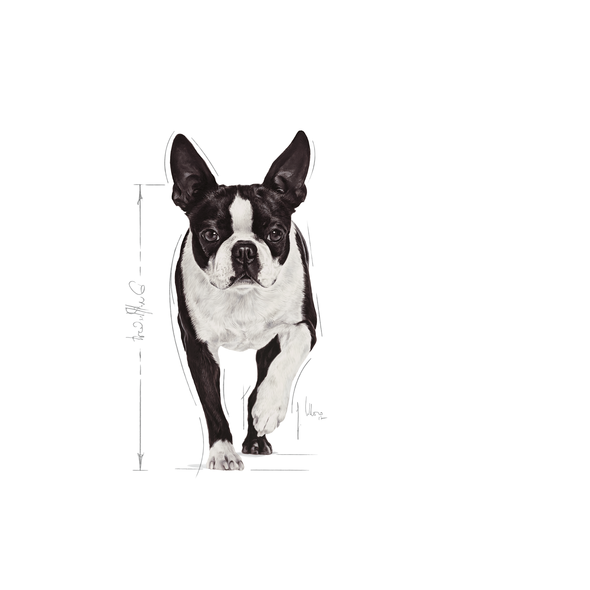 Royal Canin Relax Care konserv (pasteet)