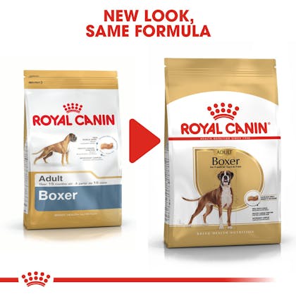 Slager Vesting flauw Boxer Adult dry | Royal Canin