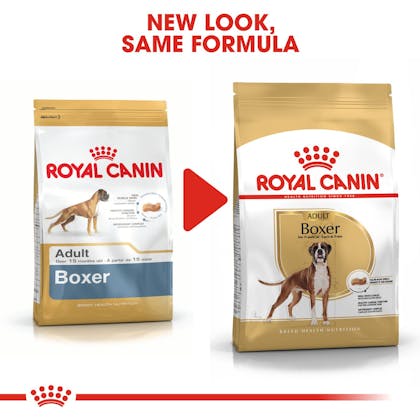 Boxer  Royal Canin Brazil