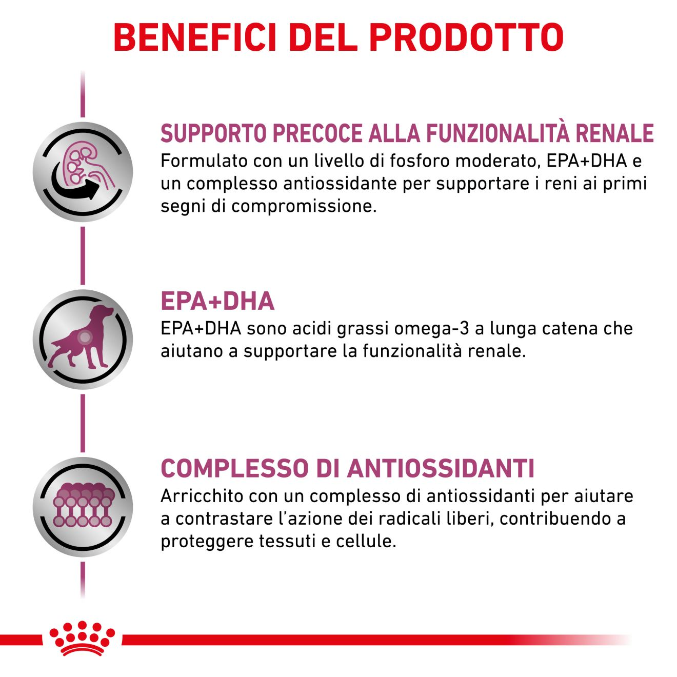 Early Renal straccetti in salsa