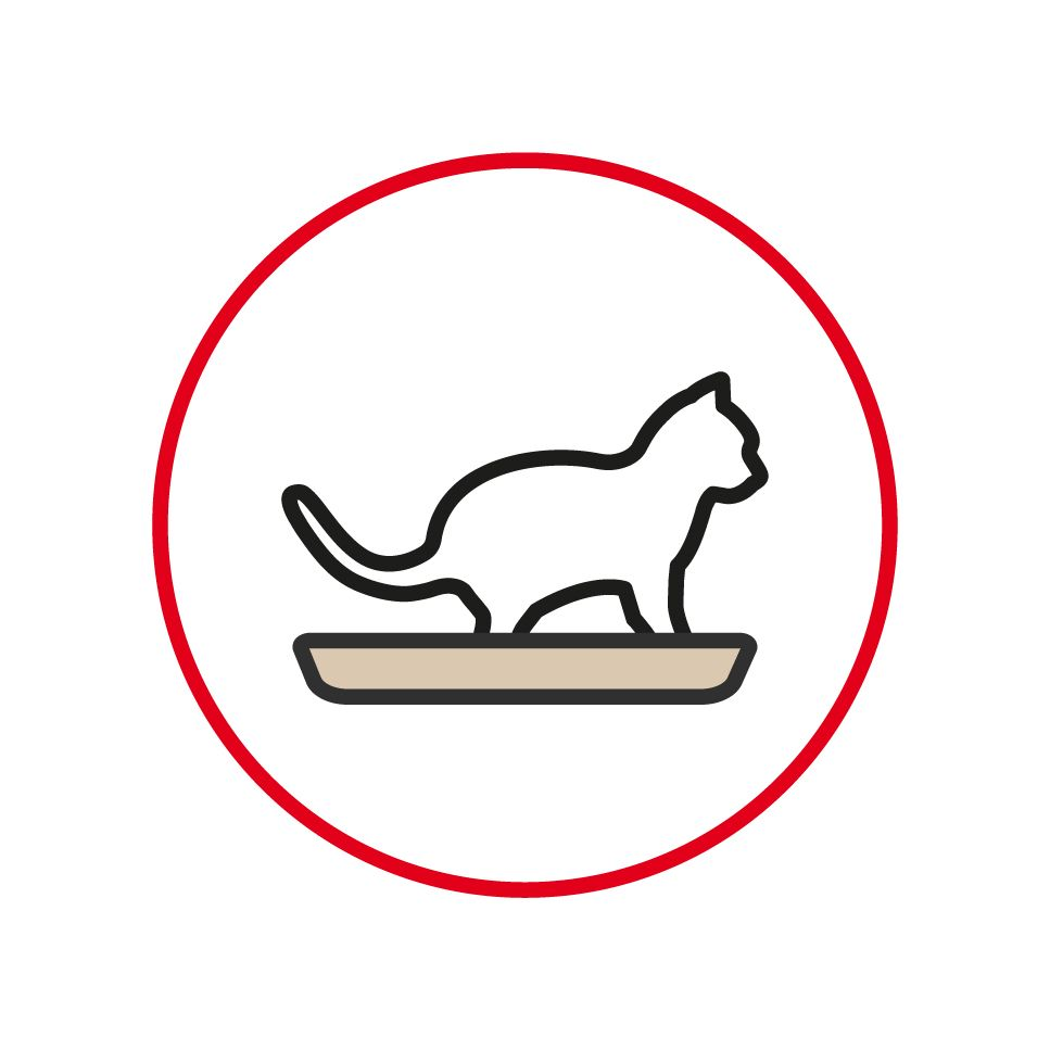Illustration of a cat using a litter tray