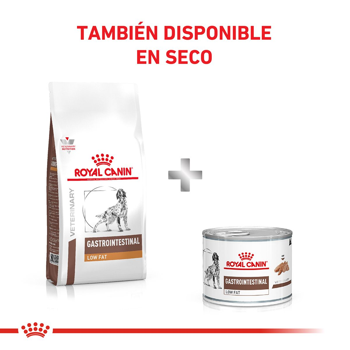 Gastrointestinal Low Fat Canine 