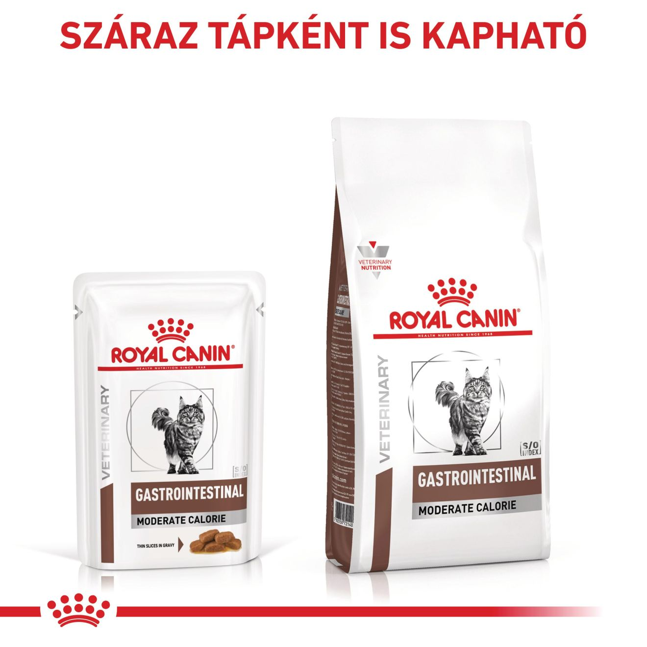 Gastrointestinal Moderate Calorie