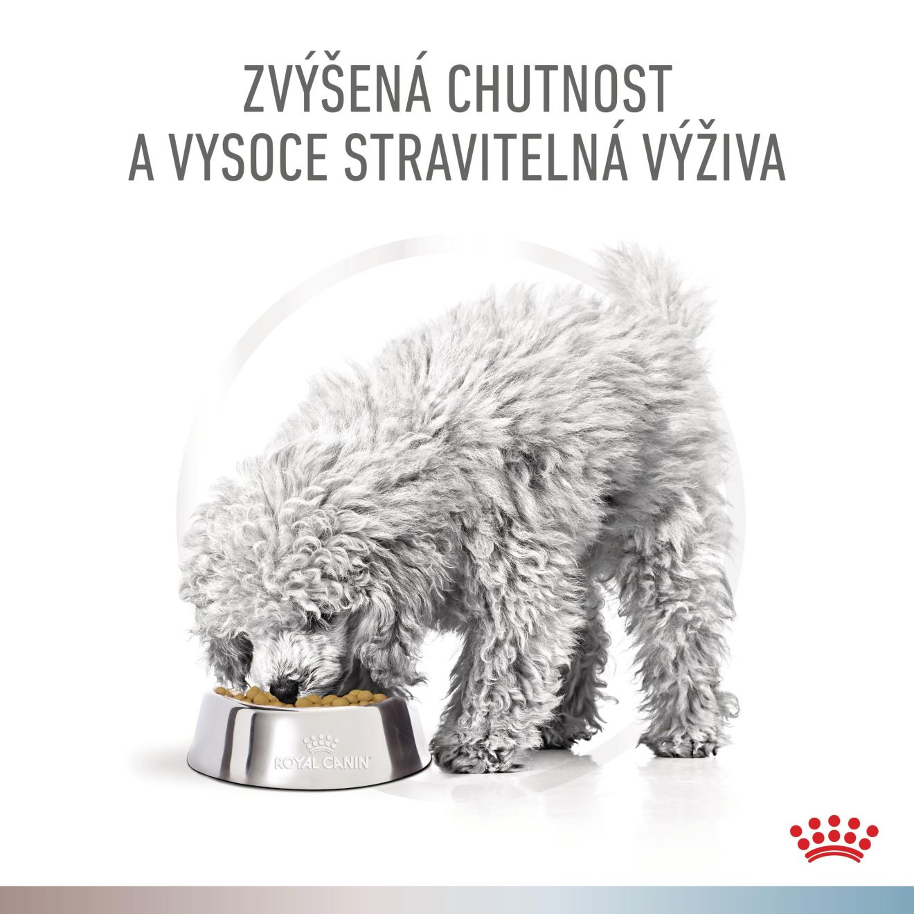 VHN Dog CA Gastrointestinal Low Fat-Hypoallergenic