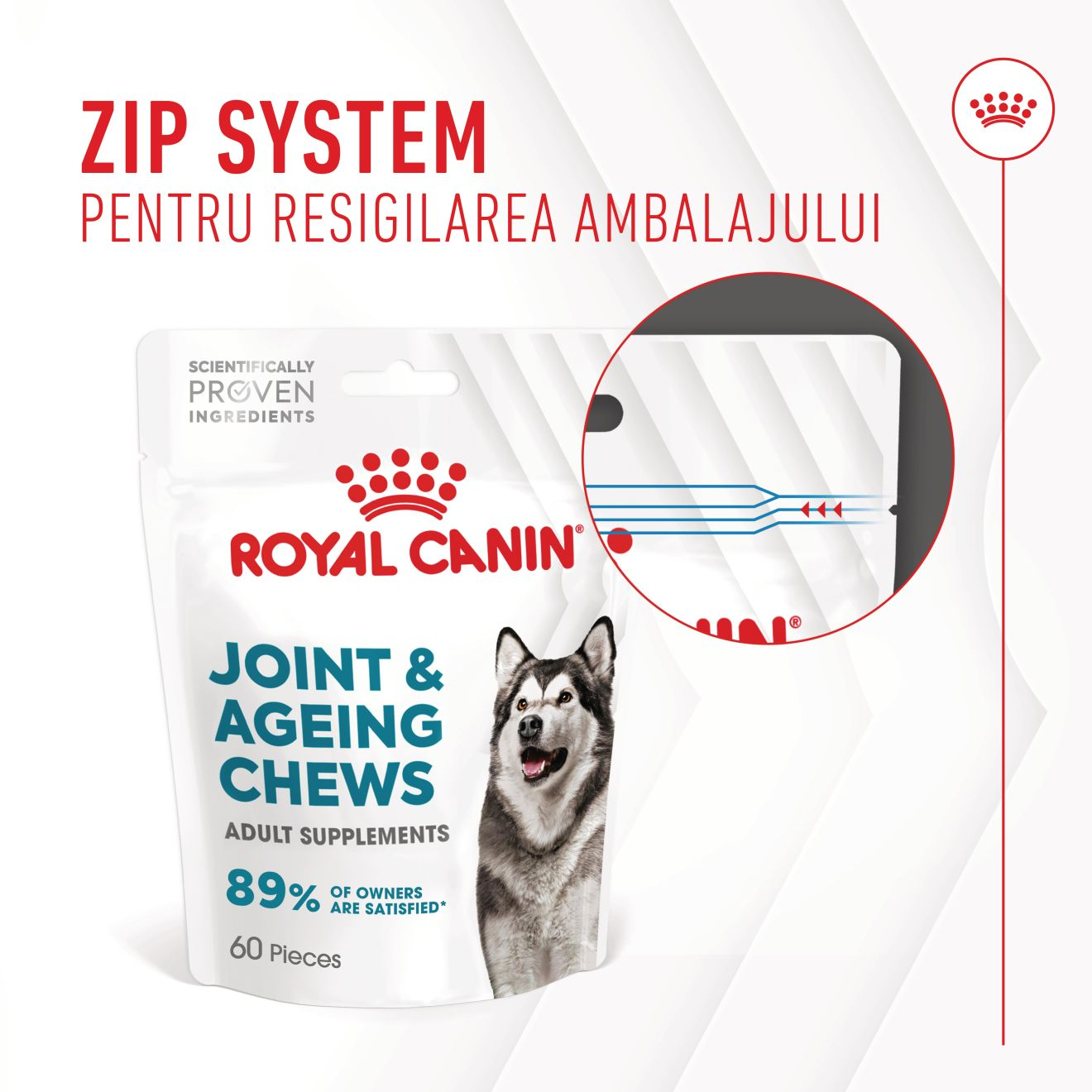 JOINT & AGEING CHEWS