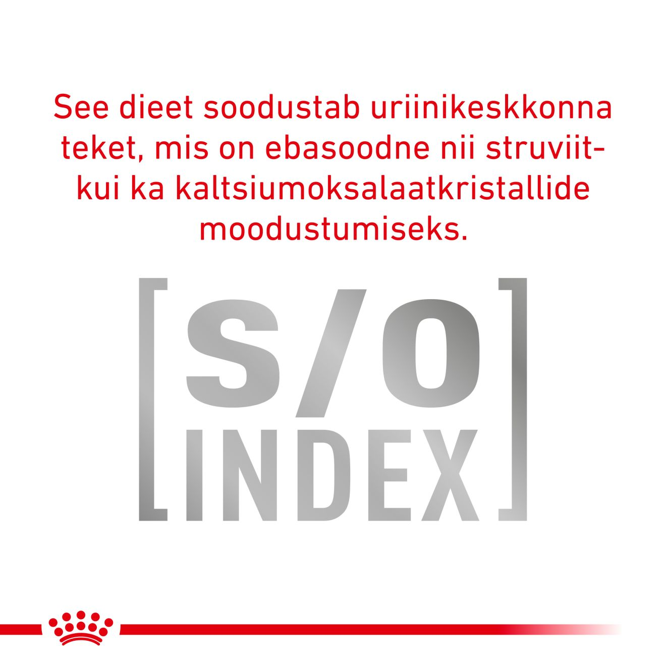 Royal Canin Urinary S/O Moderate Calorie Dog kuivtoit