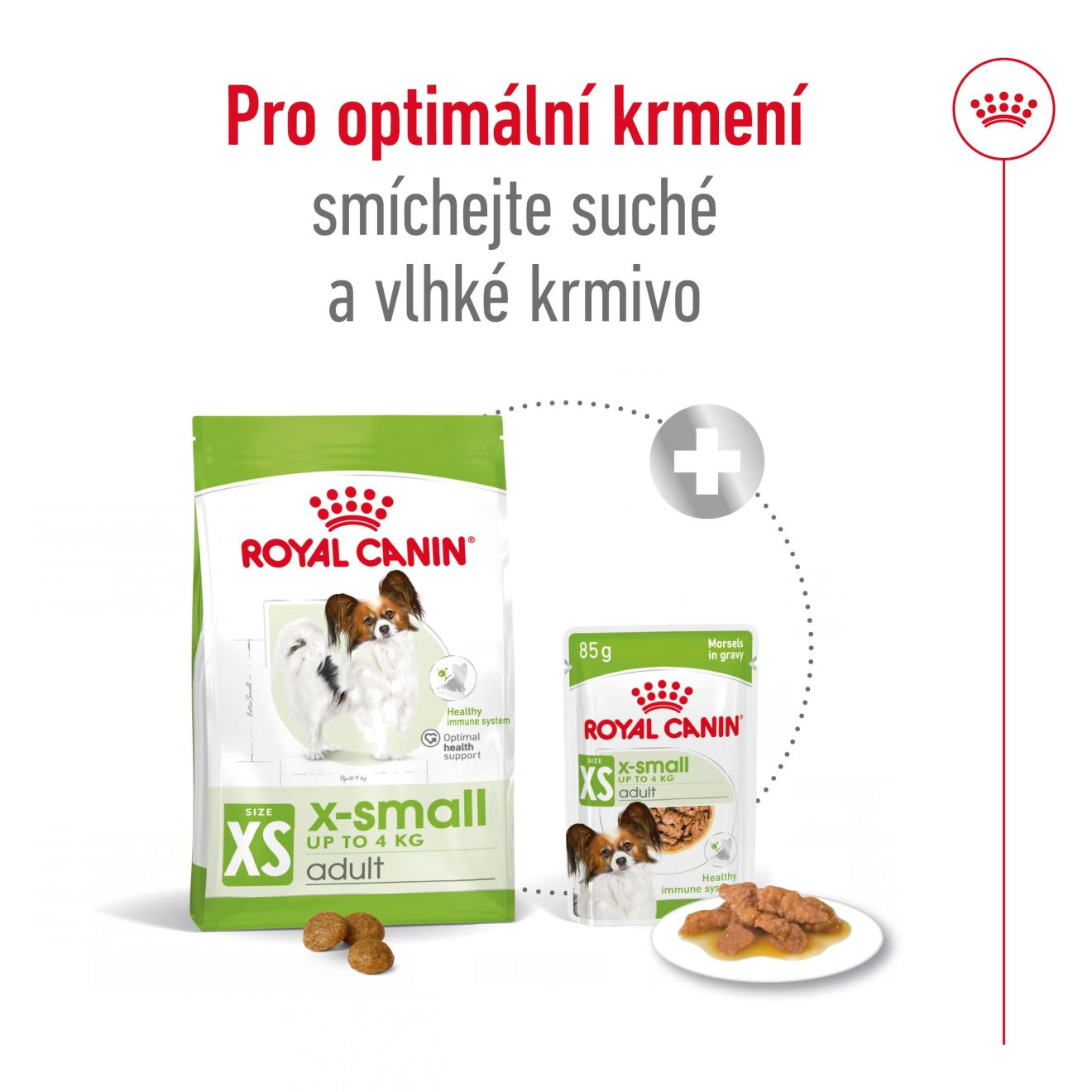 X-Small Adult