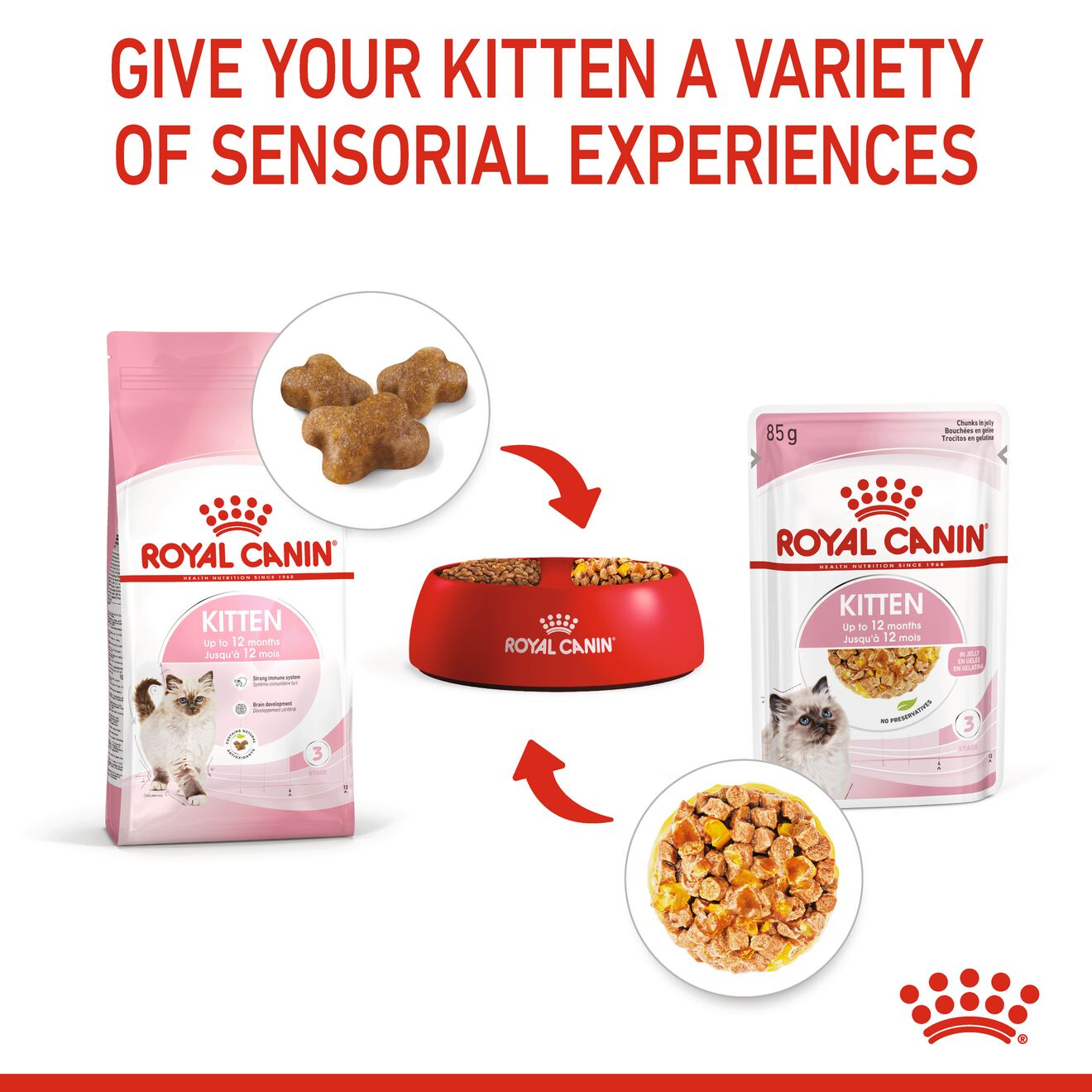 Royal 2024 canin jelly