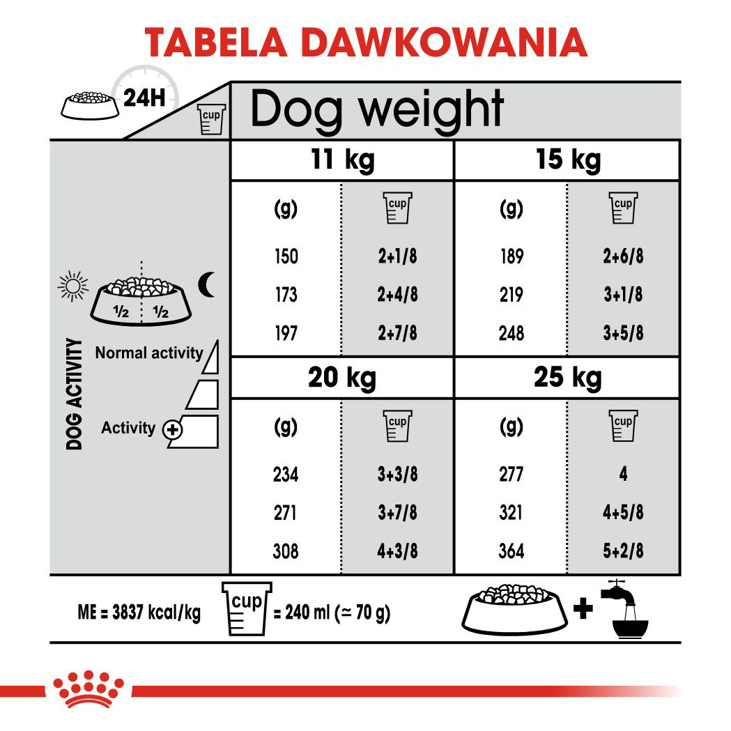CCN Medium Dental Care