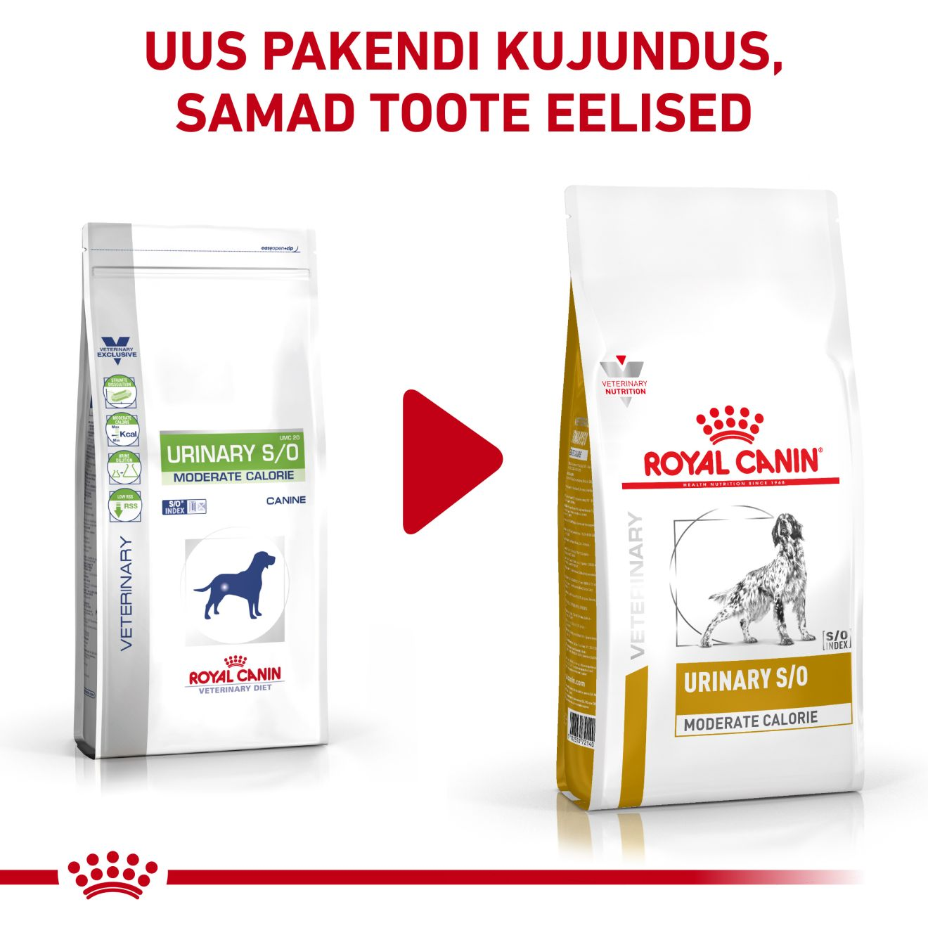 Royal Canin Urinary S/O Moderate Calorie Dog kuivtoit