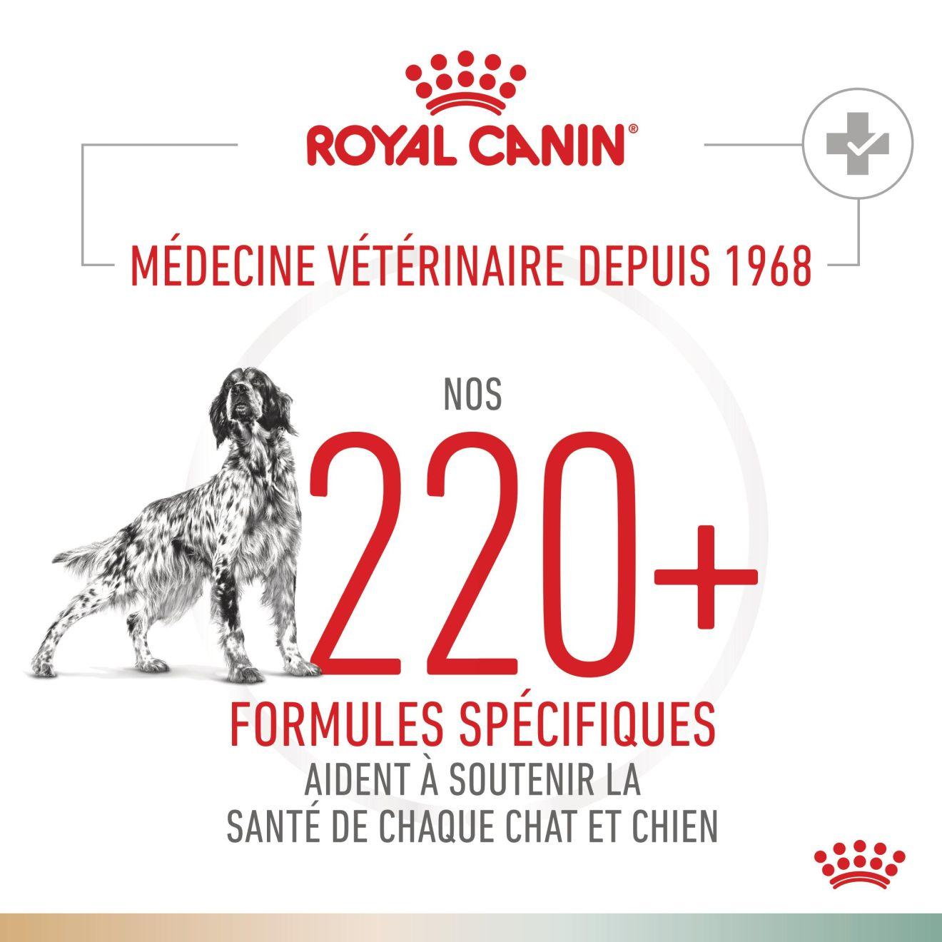 Urinary S/O  + Satiety Chien