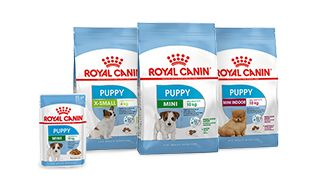 Puppy range pack shot