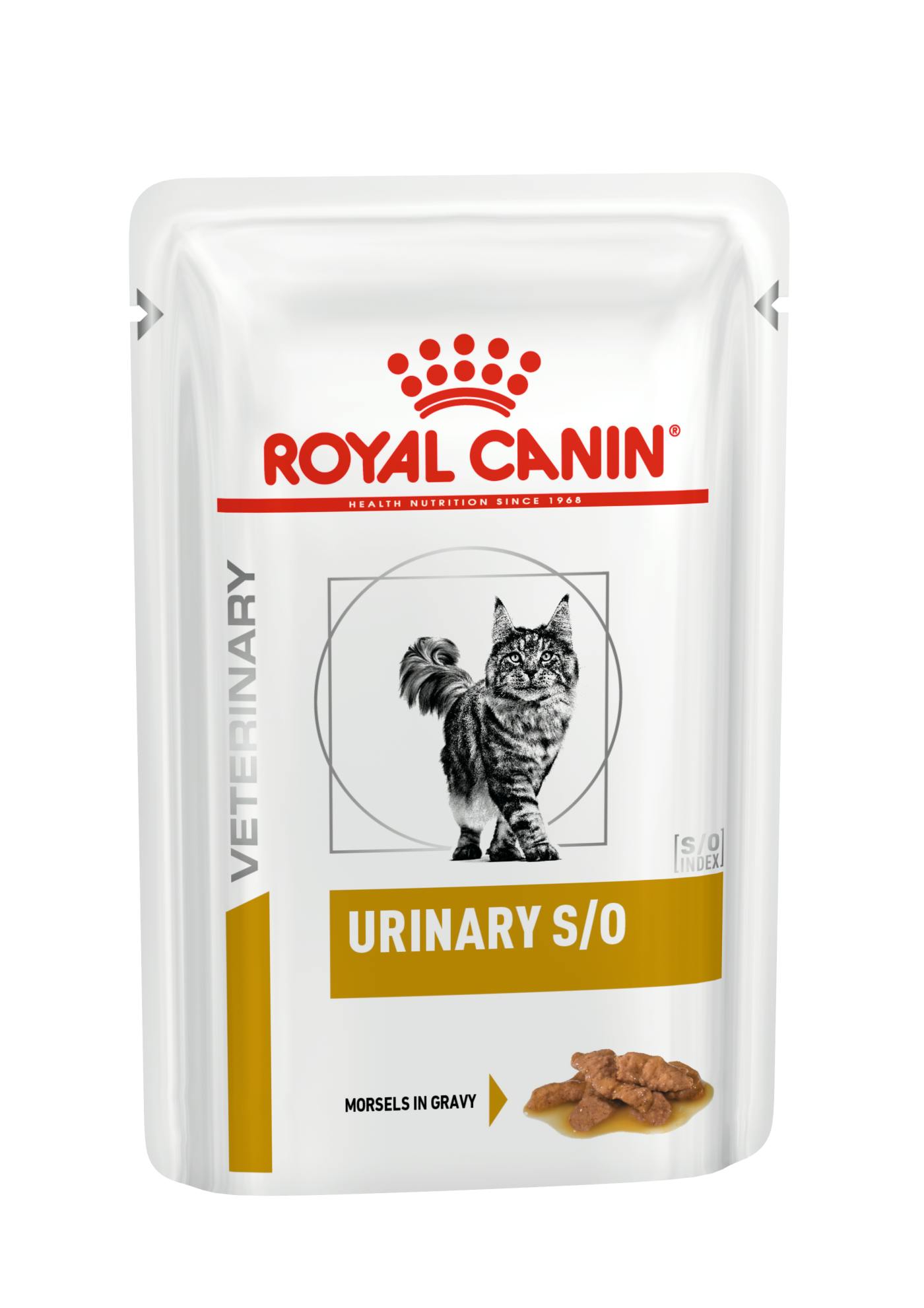 Urinary so best sale wet dog food