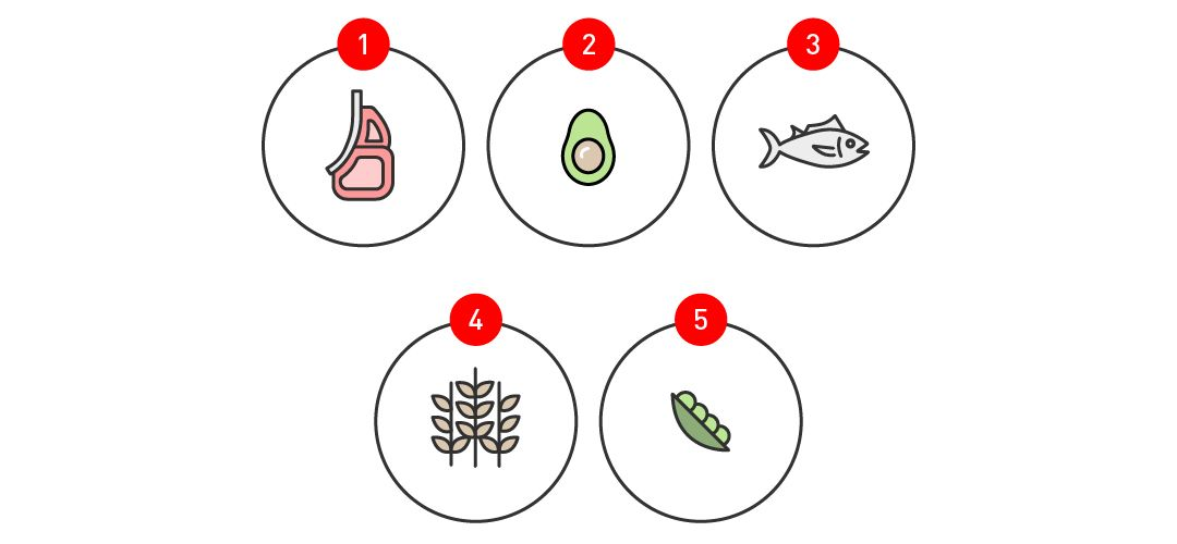 5 illustrations montrant les sources de minéraux