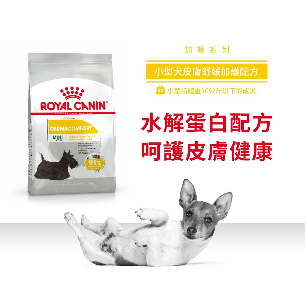 CCN 小型犬皮膚舒緩加護配方