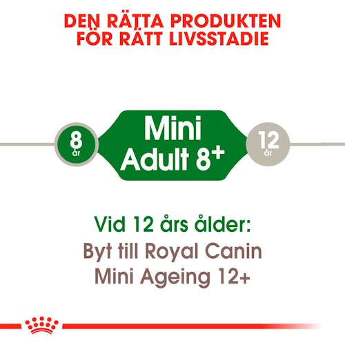 Mini Adult 8+