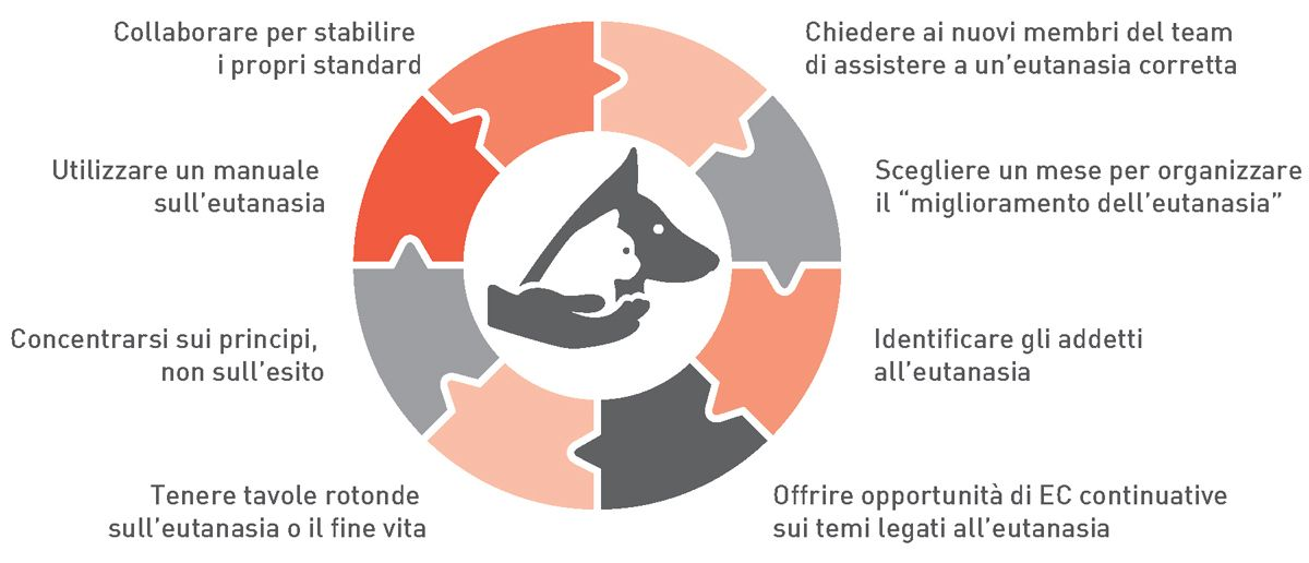 Supportare il team responsabile per l’eutanasia