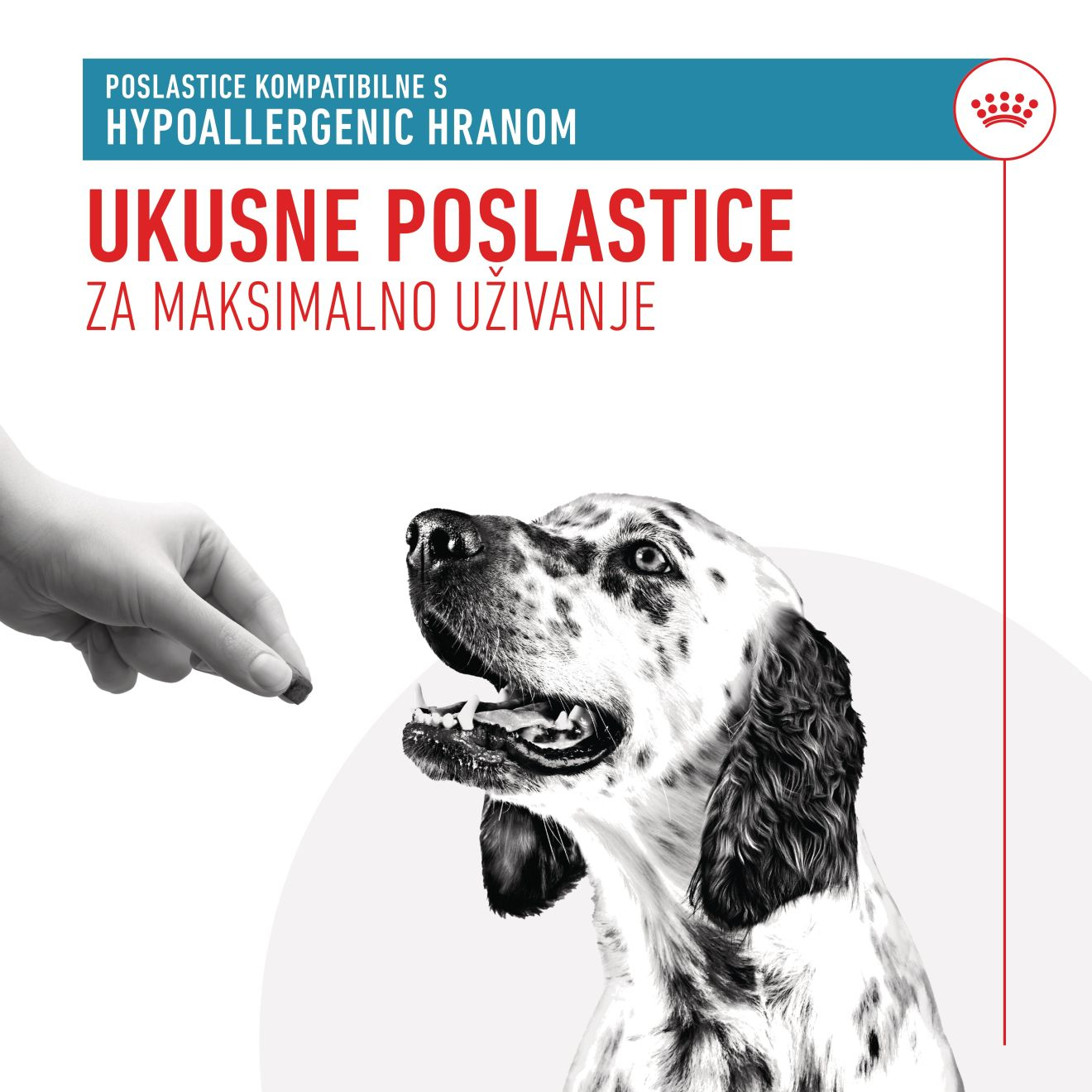HYPOALLERGENIC VETERINARSKE POSLASTICE