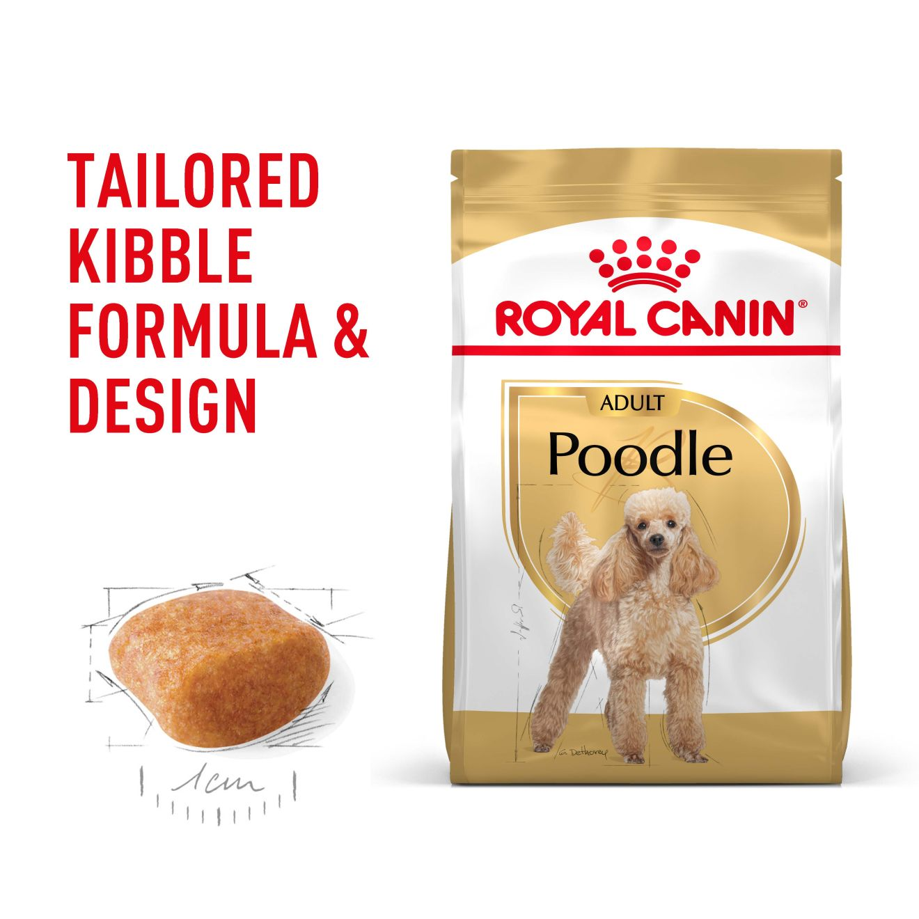 Poodle Adult