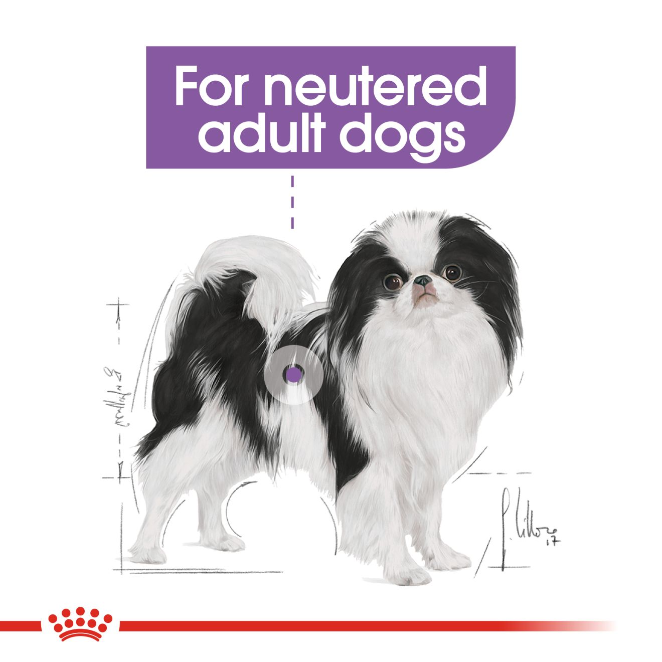 royal canin mini sterilised 4 kg