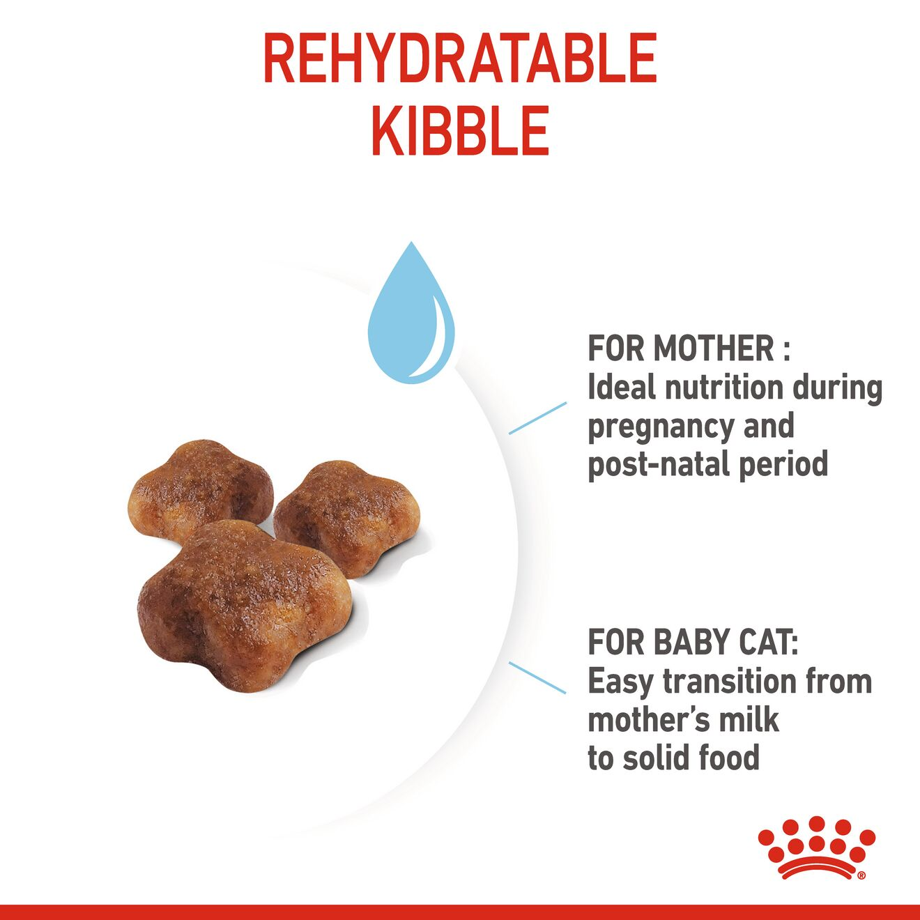 Royal canin mother hot sale and baby food