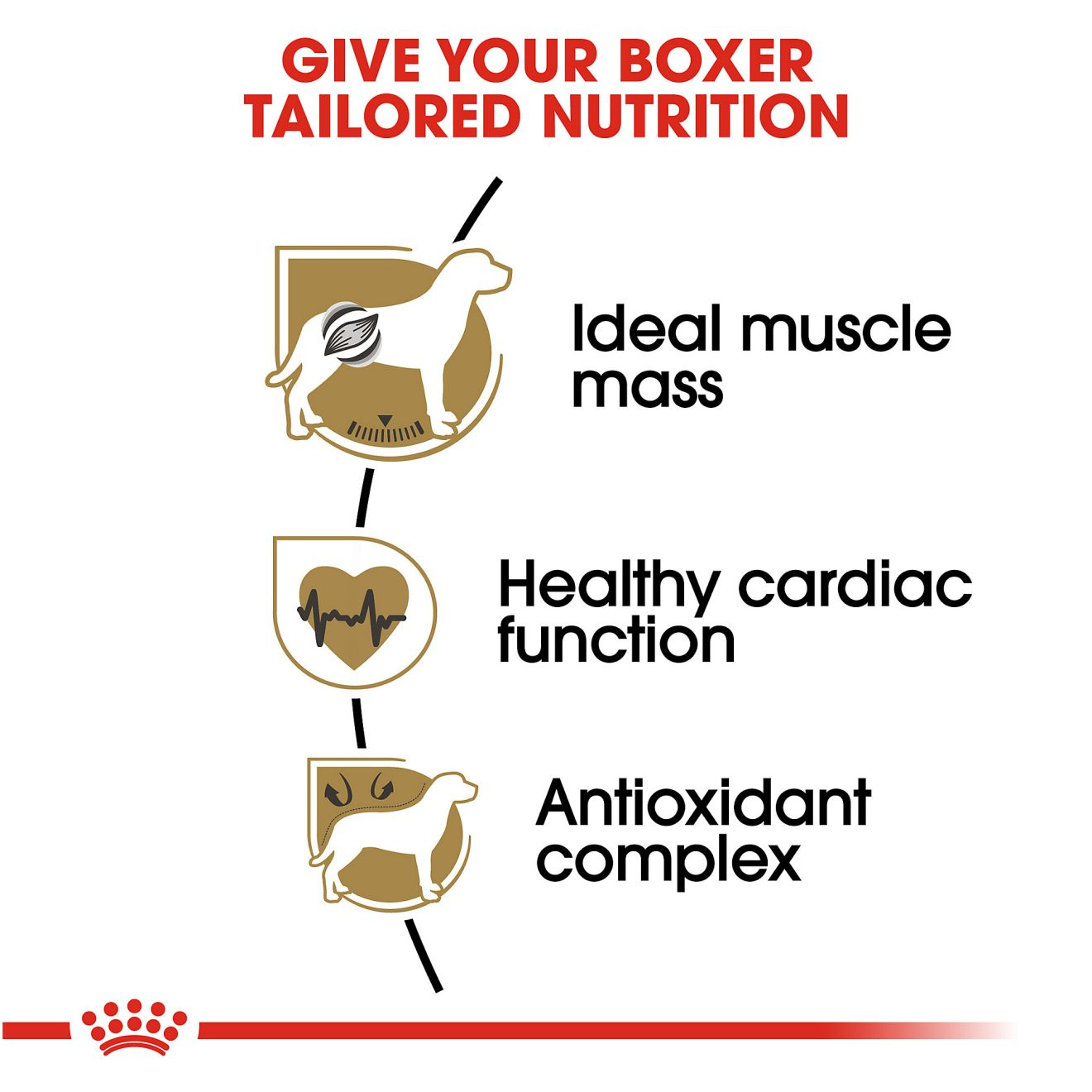 Royal canin early outlet cardiac diet