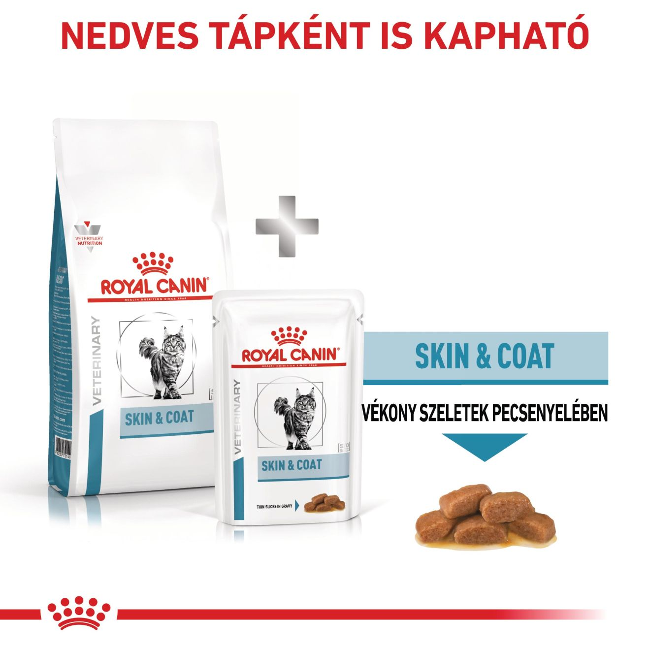 Skin & Coat