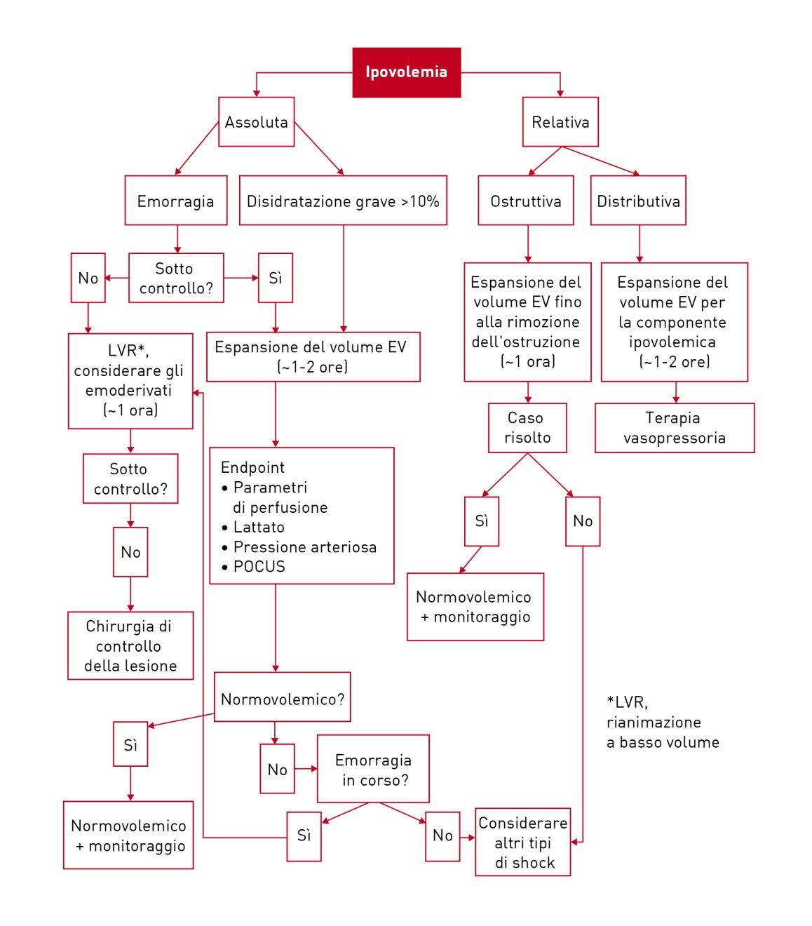 Diagramma di flusso completo per facilitare il processo decisionale nella prescrizione dei fluidi nei gatti ipovolemici