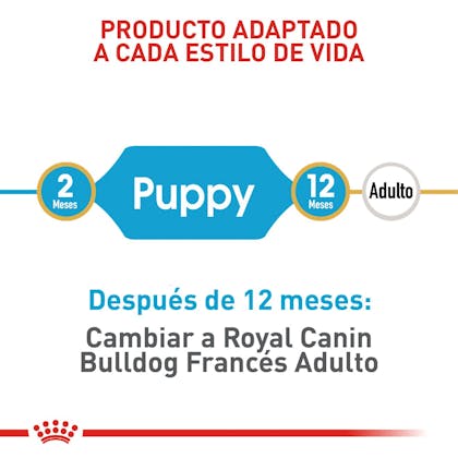 RC-BHN-PuppyBulldog-CM-EretailKit-3
