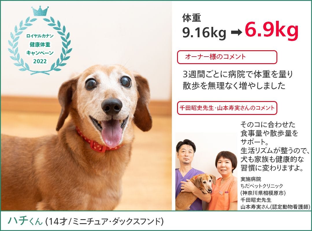 健康体重キャンペーン2022 | Royal Canin JP