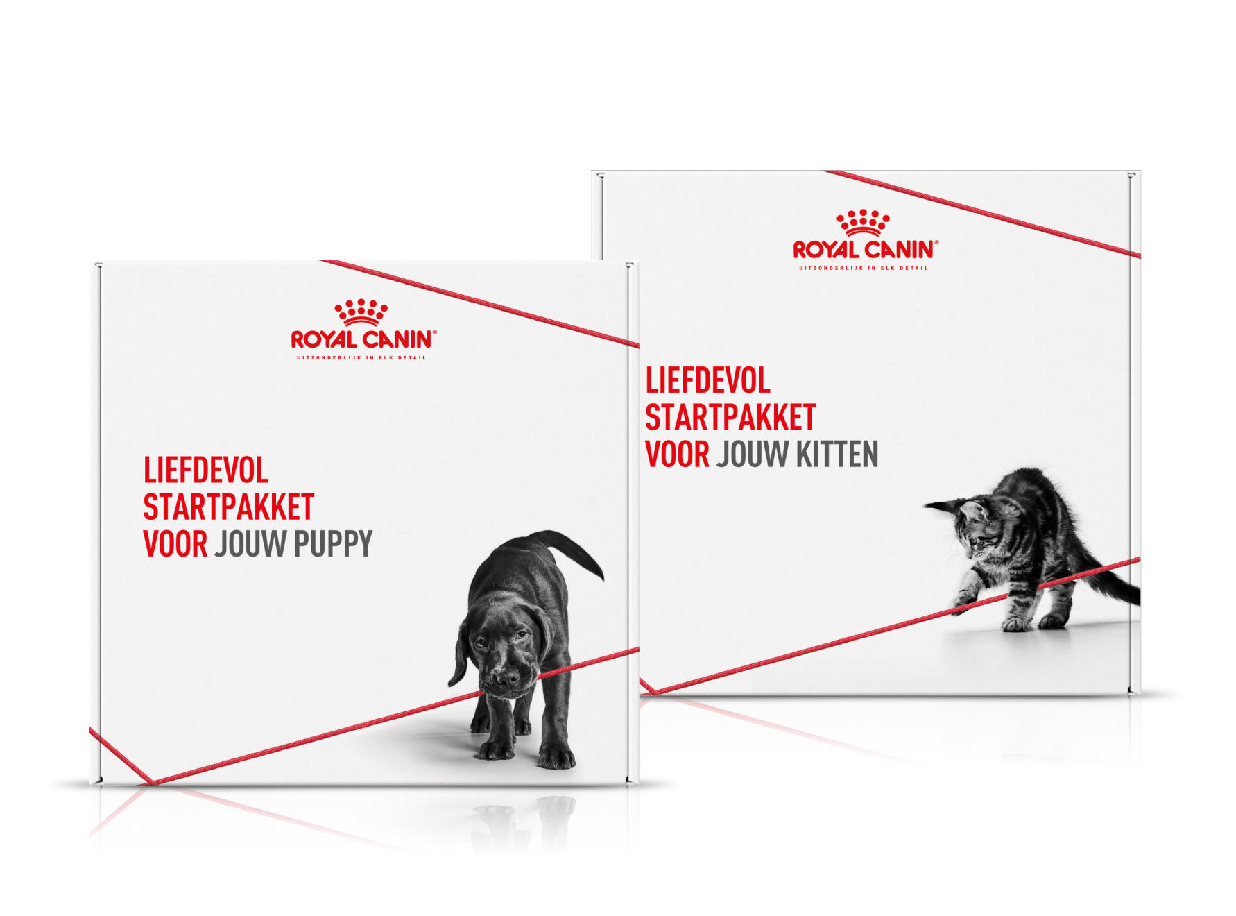 Kitten & Puppy packs with Puppy & Kitten in black and white