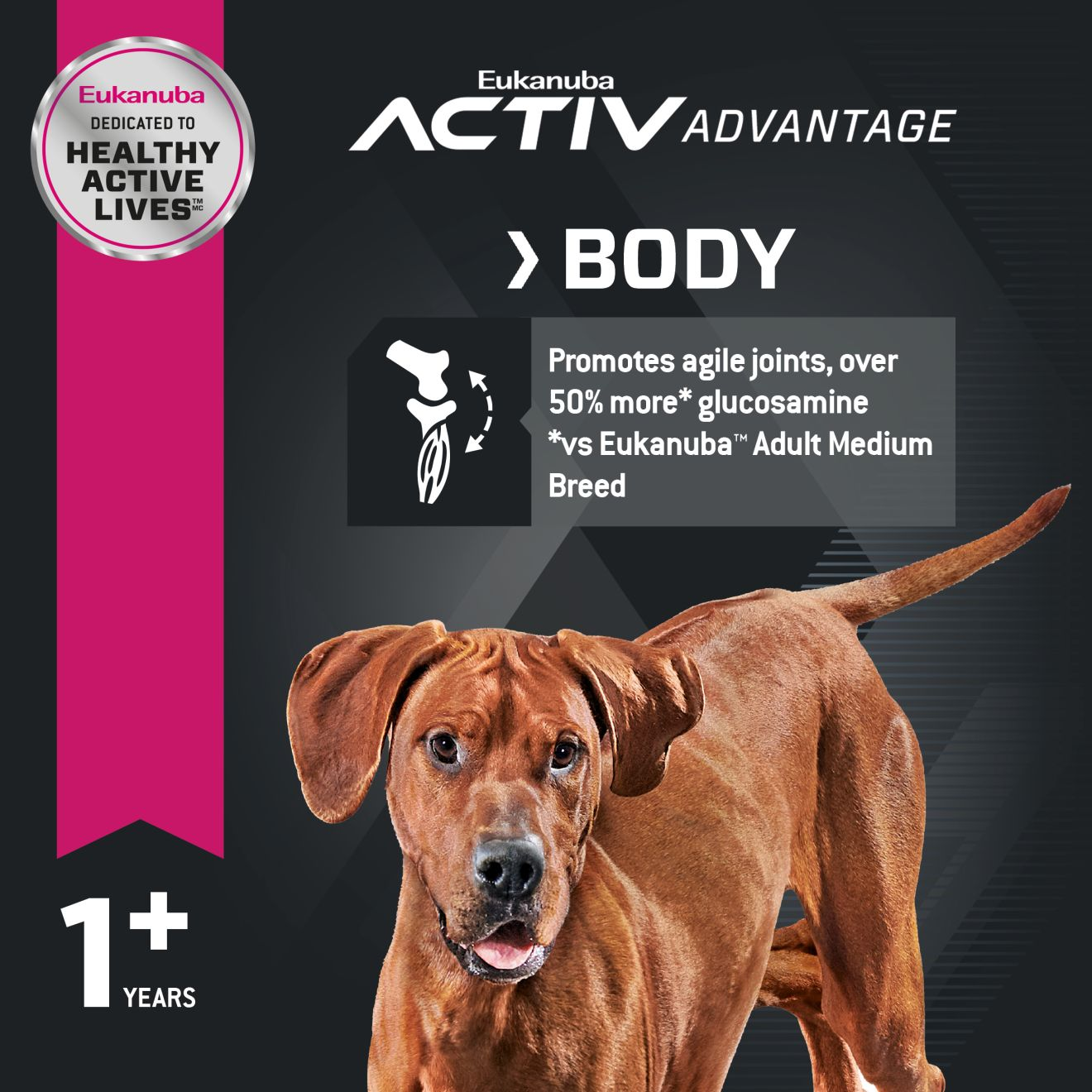 Eukanuba™ ADULT LARGE BREED - LAMB 1ST INGREDIENT