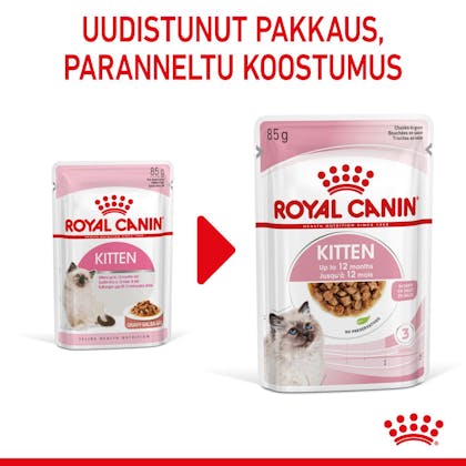 RC-SPT-WET-Kitten-CIG-CV-1-fi_FI