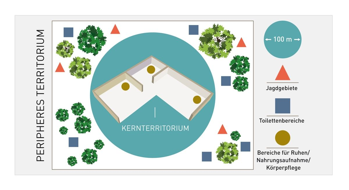 Schematische Darstellung des Territoriums einer frei laufenden Katze. Diese Katzen können sehr große Territorien haben (bis zu 0,5-1,3 km lang mit einer Gesamtfläche von 300 000 bis 1 700 000 m2 ) mit zahlreichen Jagdgebieten und Toilettenarealen in der Peripherie sowie geschützten Orten für die Nahrungsaufnahme, das Ruhen und die Körperpflege im Kerngebiet. Aus hygienischen Gründen liegen die Toilettenareale weit weg von den Ruhebereichen.