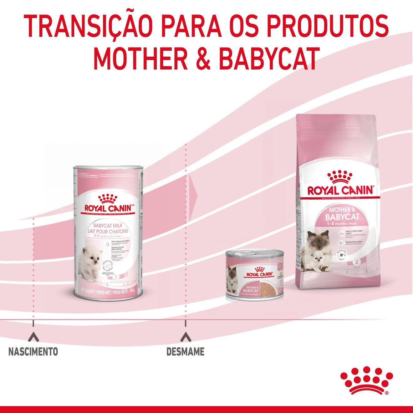 Babycat milk