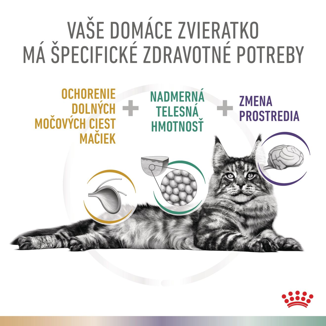 VHN Cat CA Urinary S/O Bladder Comfort - Satiety