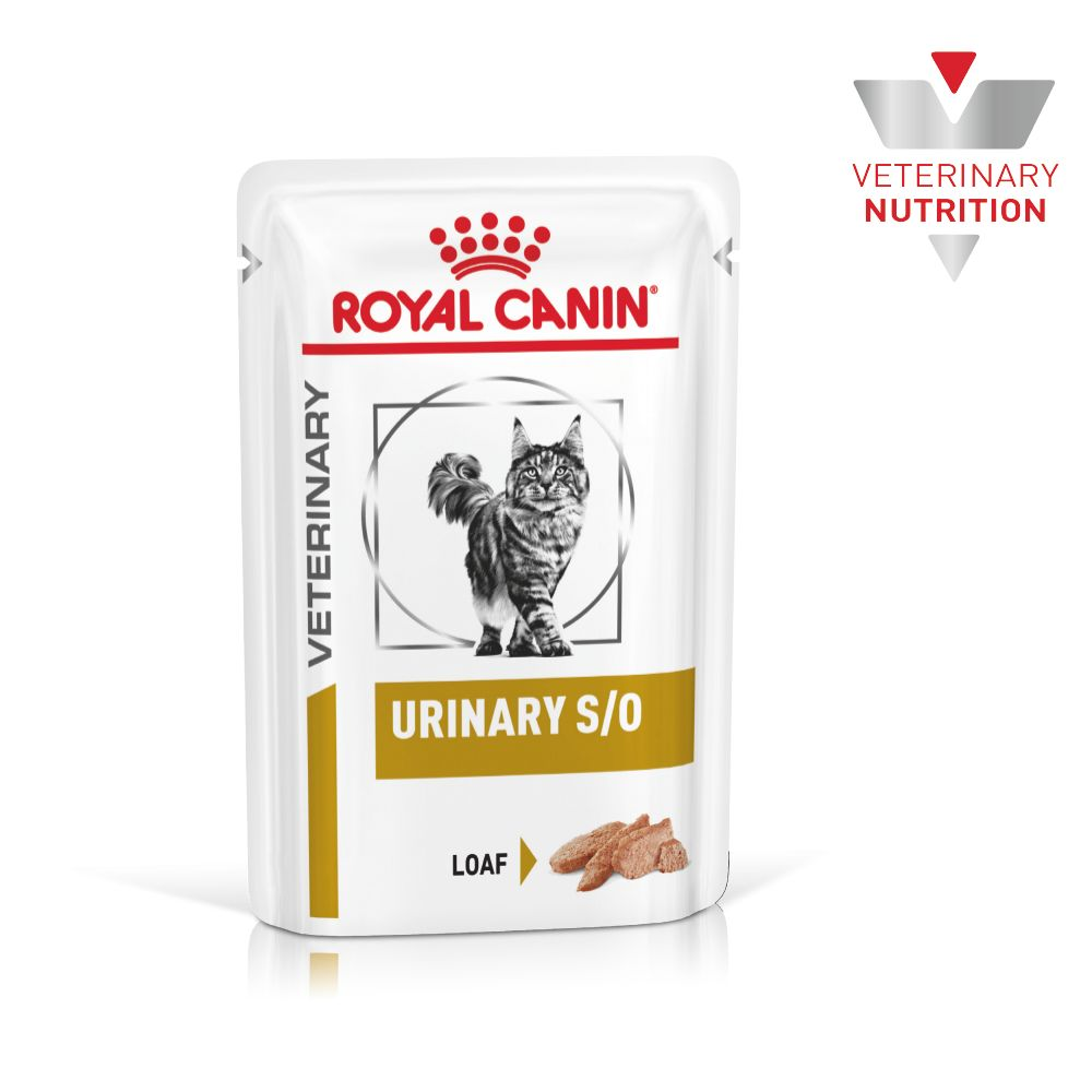 Bondgenoot mengsel President royal canin urinary so cat food,yasserchemicals.com