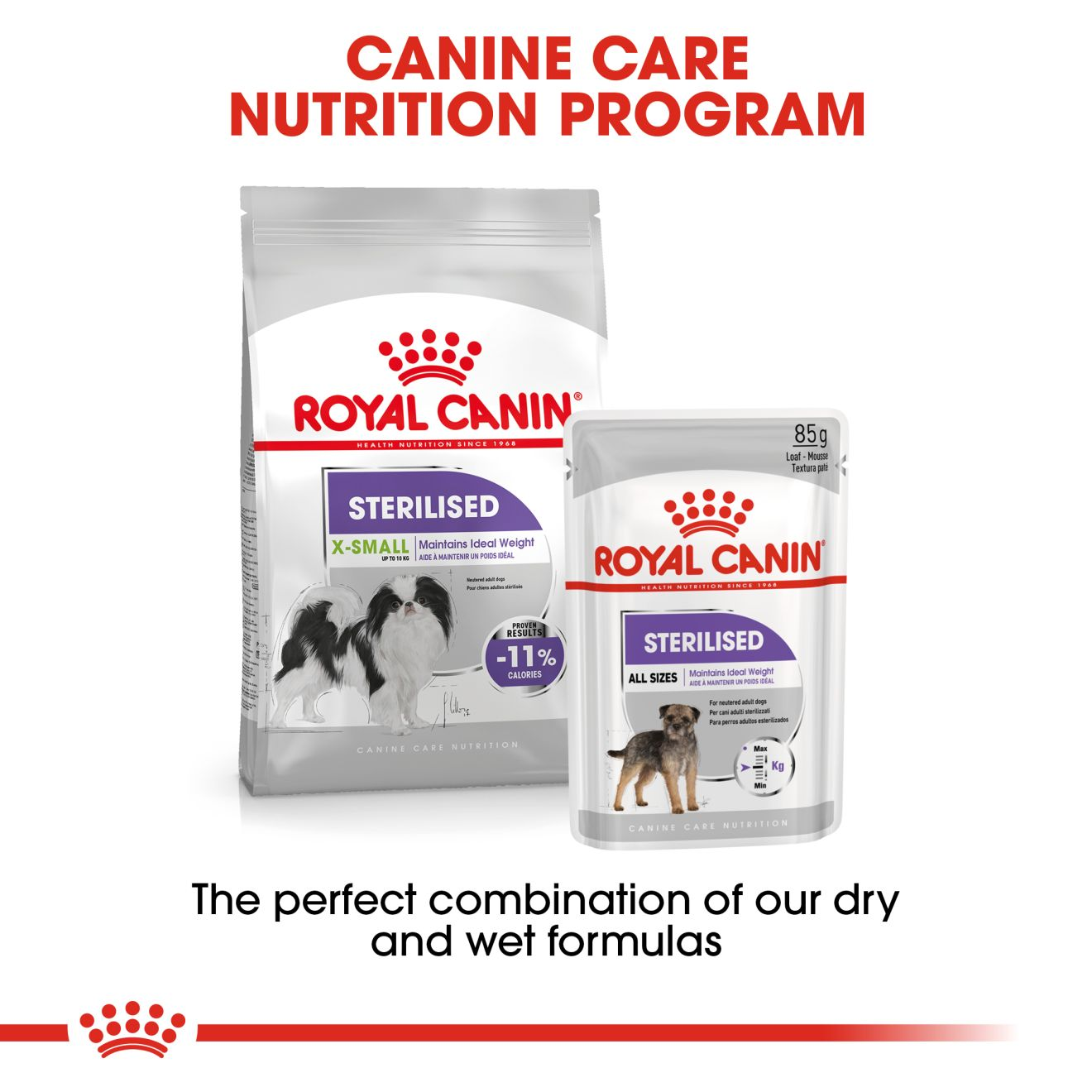 X Small Sterilised Royal Canin UK