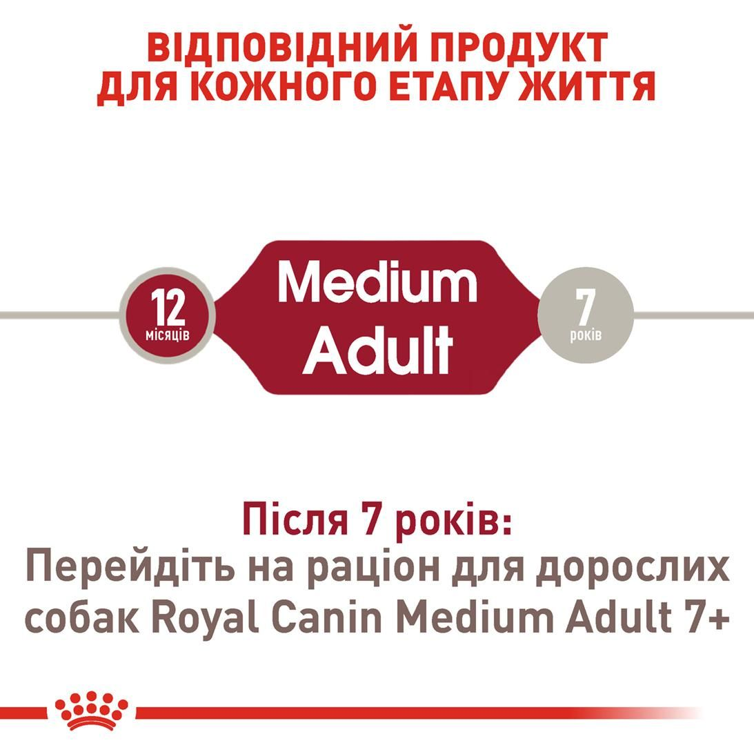 Medium Adult