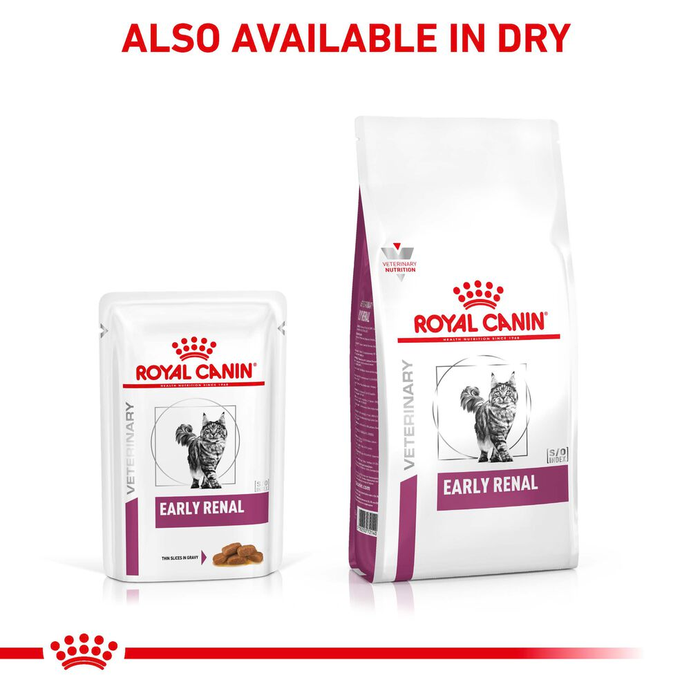 Royal canin store early renal diet