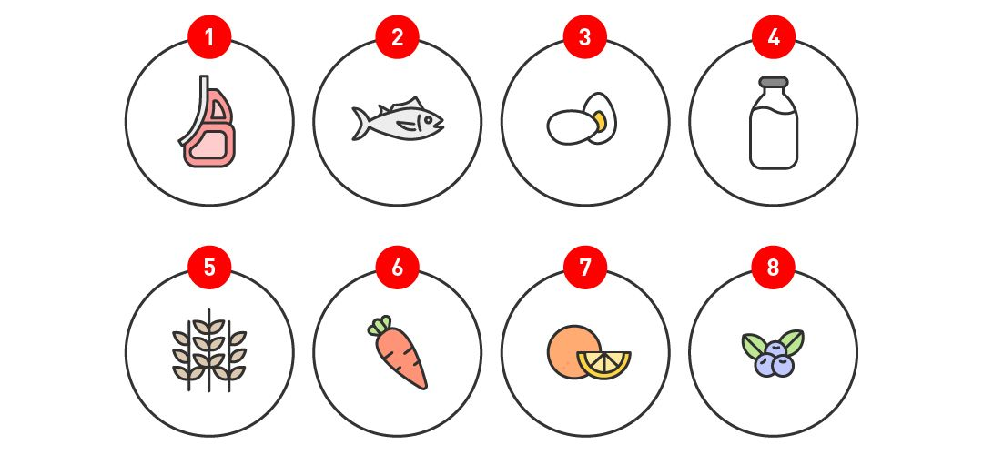 Oito ilustrações mostrando as fontes de vitaminas