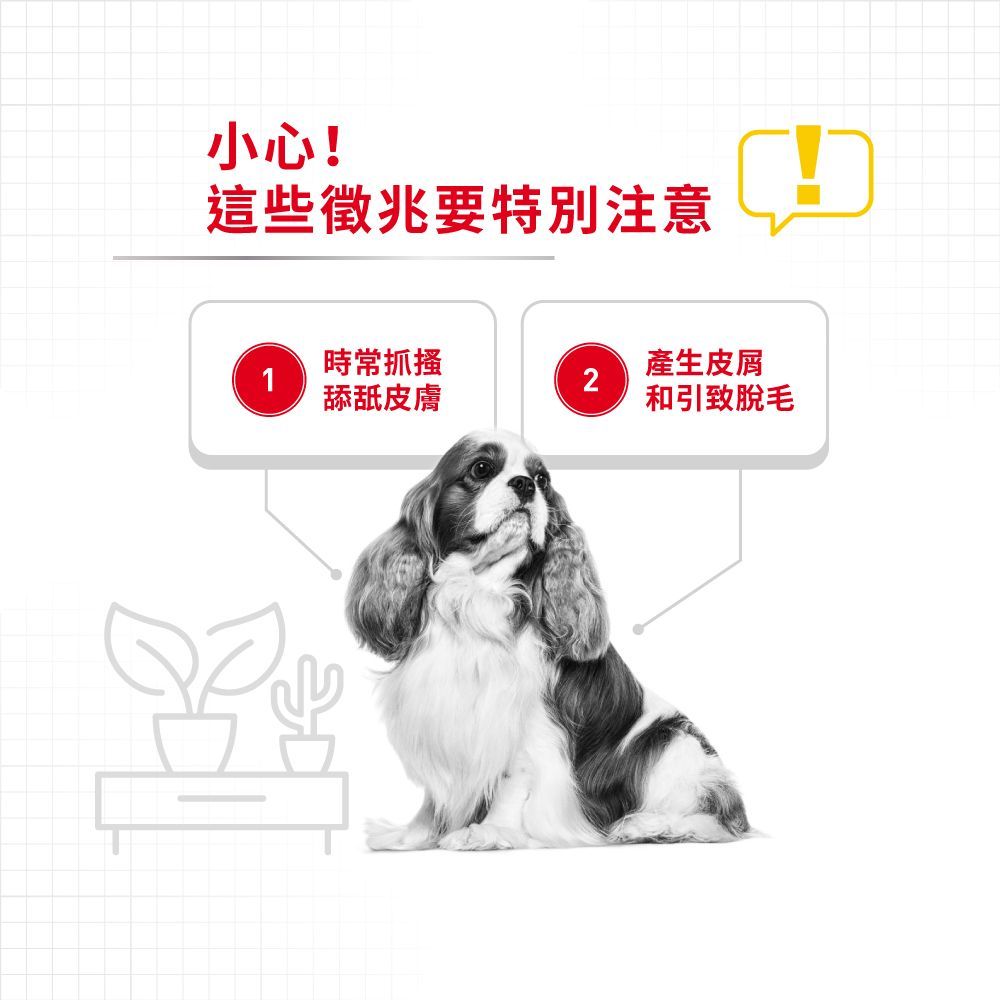 CCN 小型犬皮膚舒緩加護配方