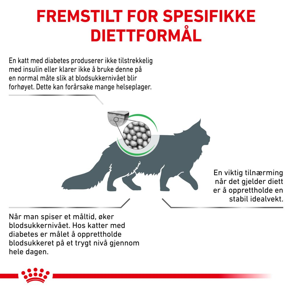 Weight Management Diabetic