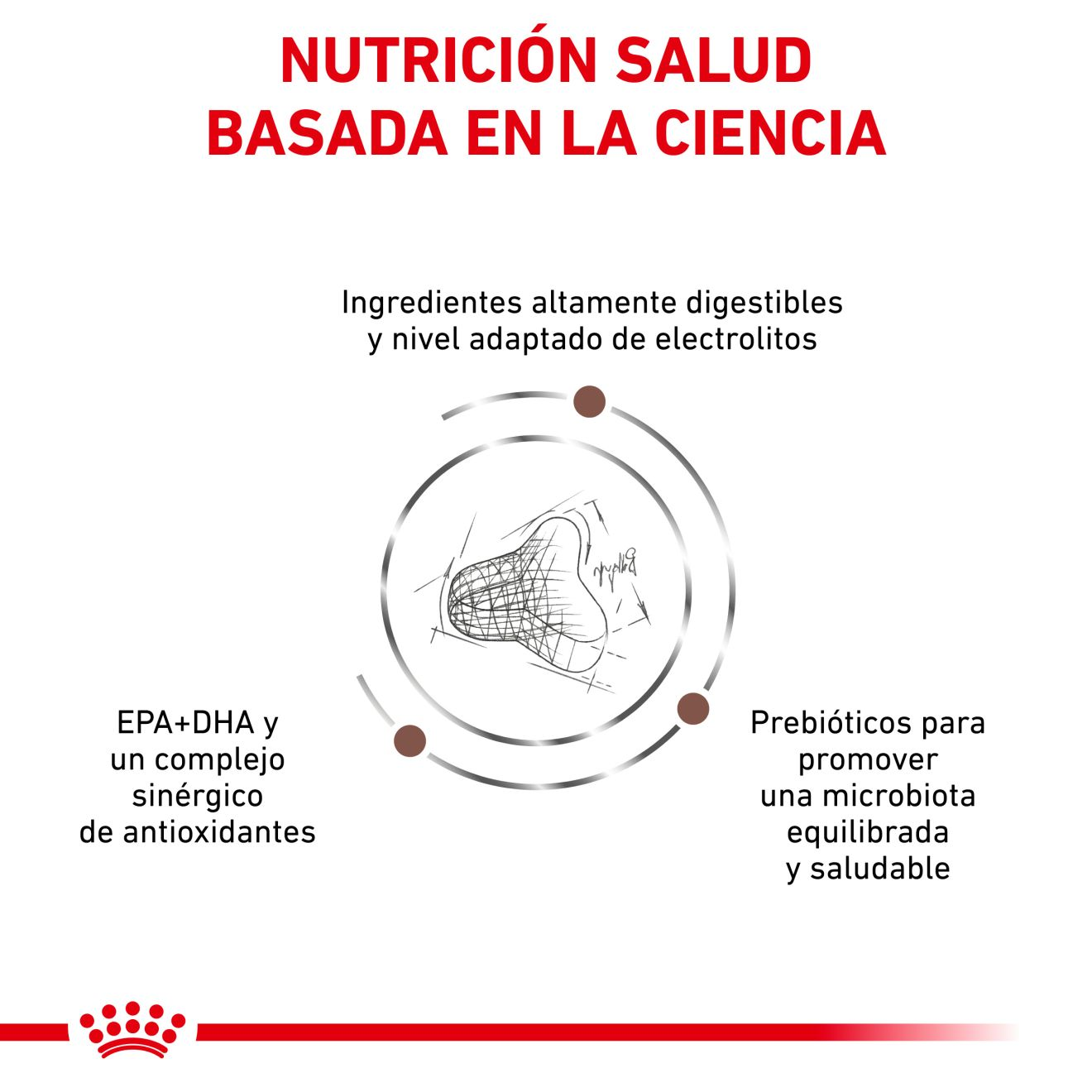 Gastrointestinal Fibre Response Royal Canin ES