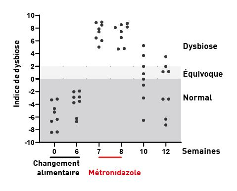 Effet d’un changement alimentaire et du métronidazole sur le microbiome intestinal chez le chien sain 