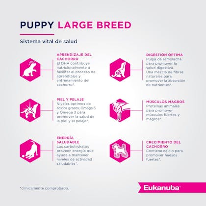 Eukanuba Puppy Large Breed - Cachorro Talla Grande
