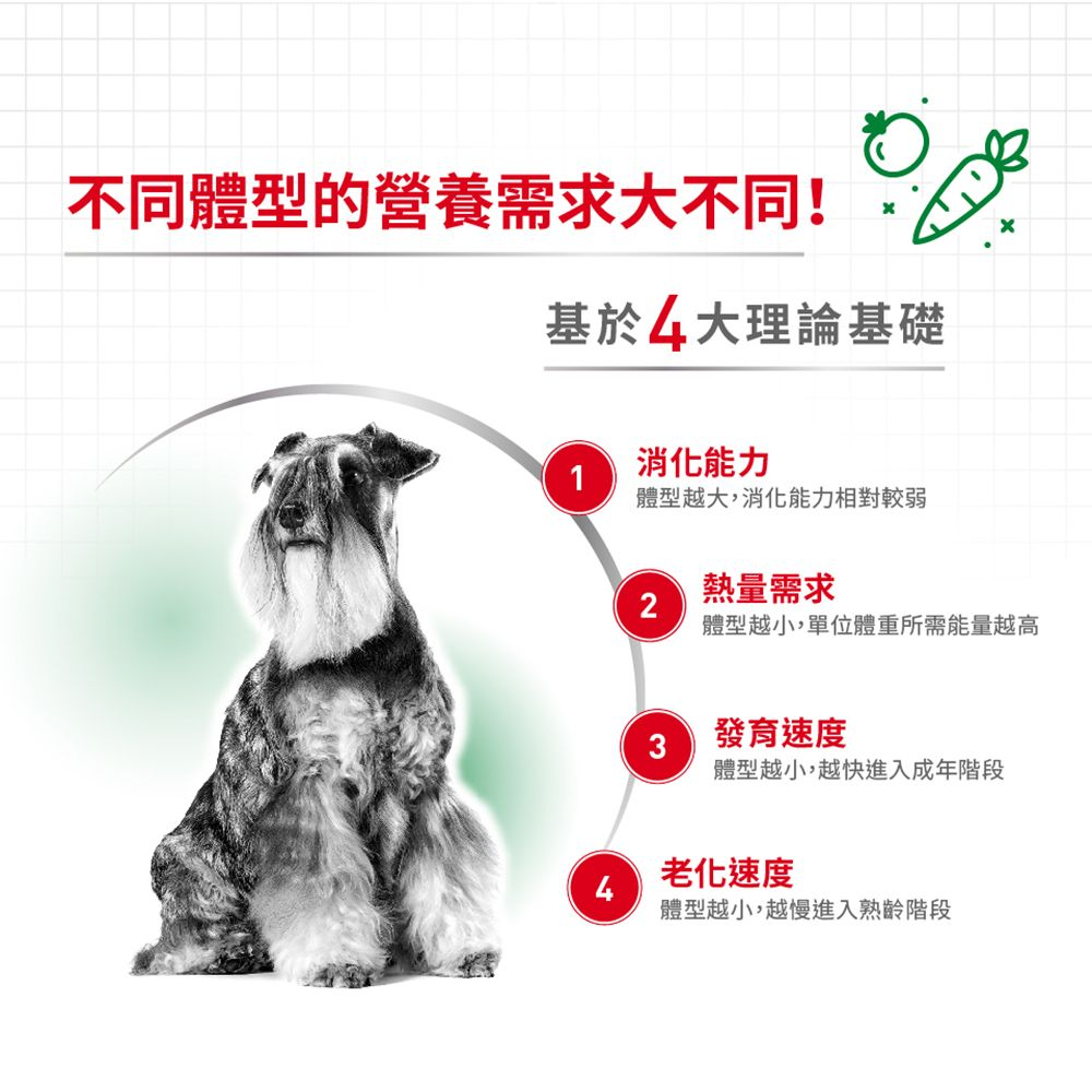 SHN 小型成犬營養配方