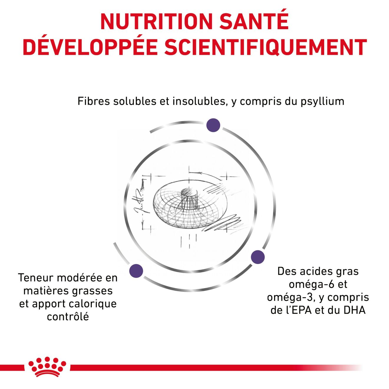 Neutered Adult Medium Dogs